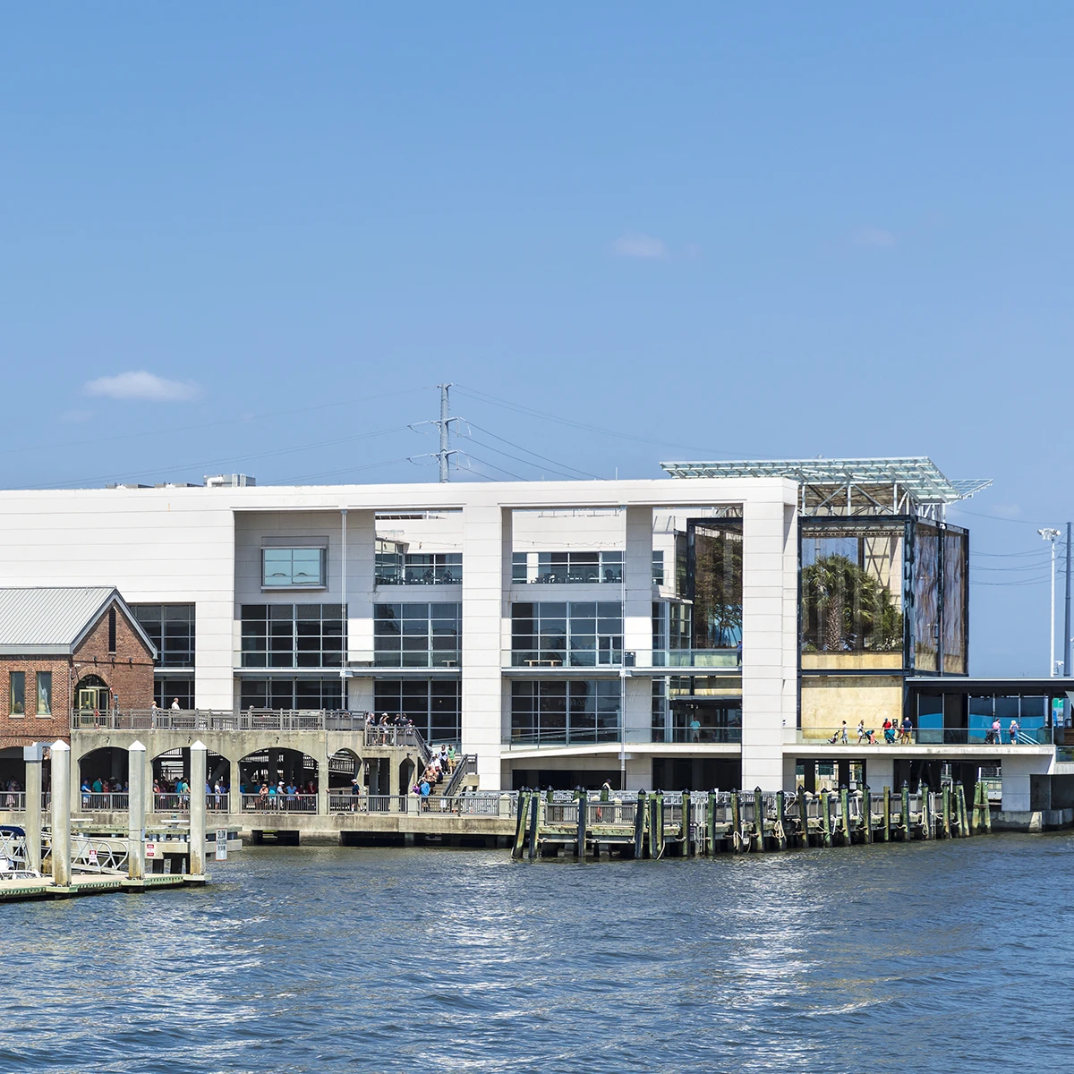 Where to Find the Best Museums in Charleston