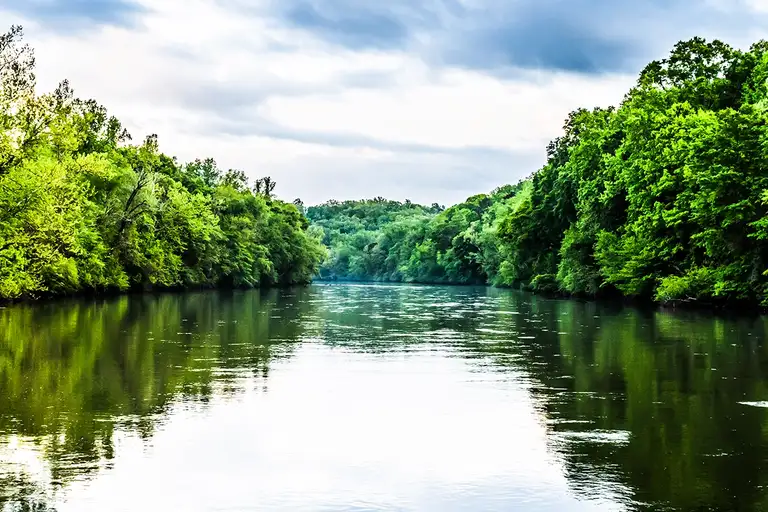 Faites un tour en canoë au Chattahoochee Nature Center