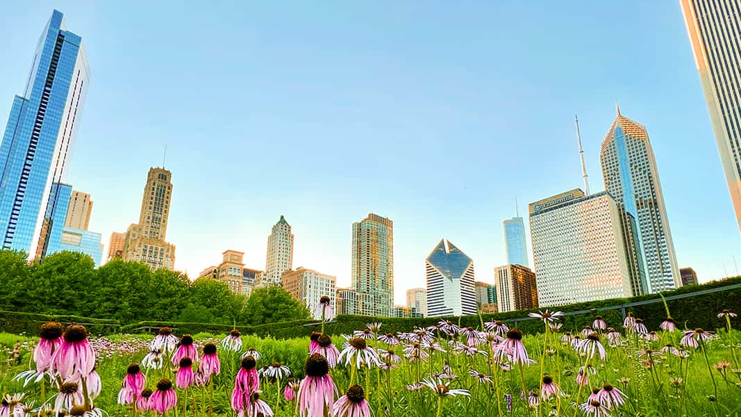 Chicago Spring Esentials Chicago in Spring: What To See and Do