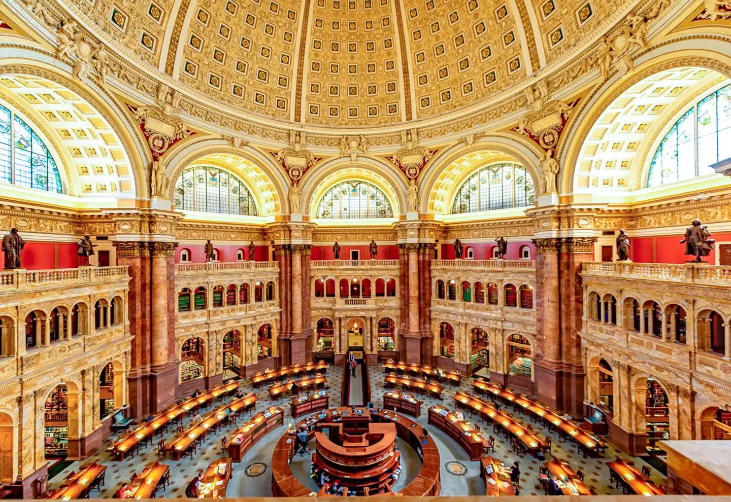 索马里兰猎豹保护基金会档案• 猎豹保护基金, image size:1440x990