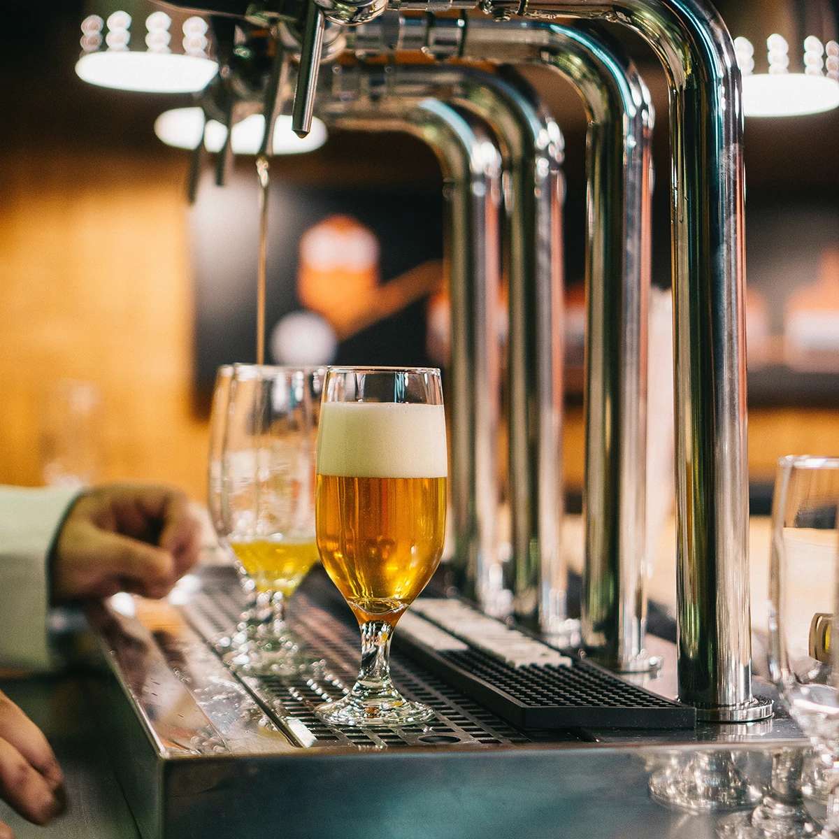 Explore off the beaten path with Hamburg's best hidden gems