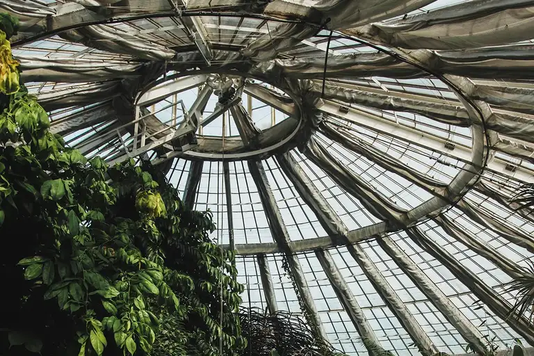 Stroll through the Botanical Garden
