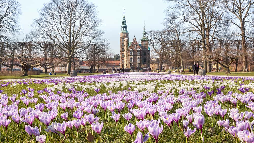 Copenhagen in May: What To See and Do