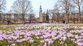 The ultimate guide to visiting Copenhagen in May