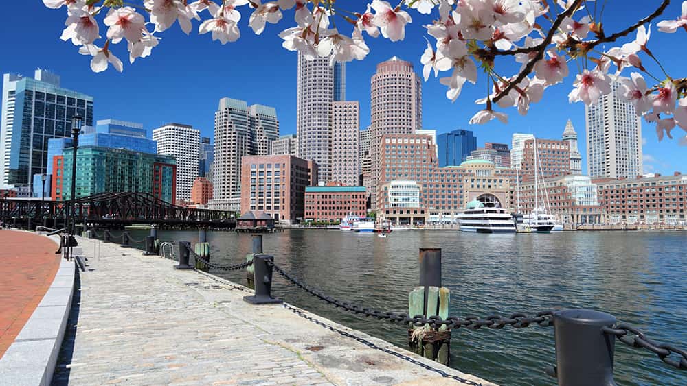 Boston Spring Photos Boston in Spring: What To See and Do