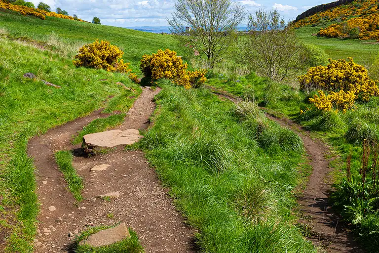 Deliziatevi con il paesaggio urbano da Calton Hill