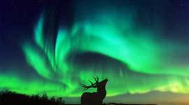 Una guida mese per mese al periodo migliore per visitare Tromsø