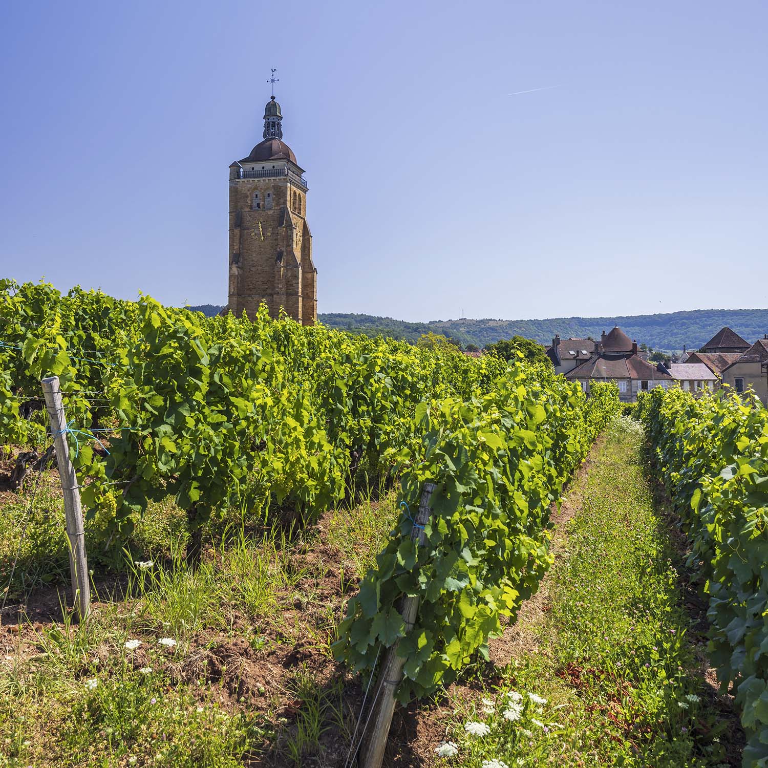 Top 7 under the radar EU wine destinations