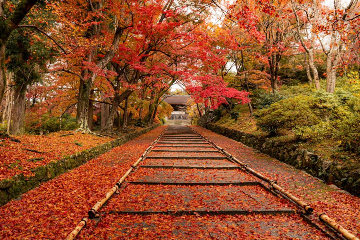 Best Time To Visit Japan: A Month-By-Month Guide - GetYourGuide