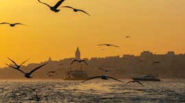10 perfect ideas for your birthday in Istanbul