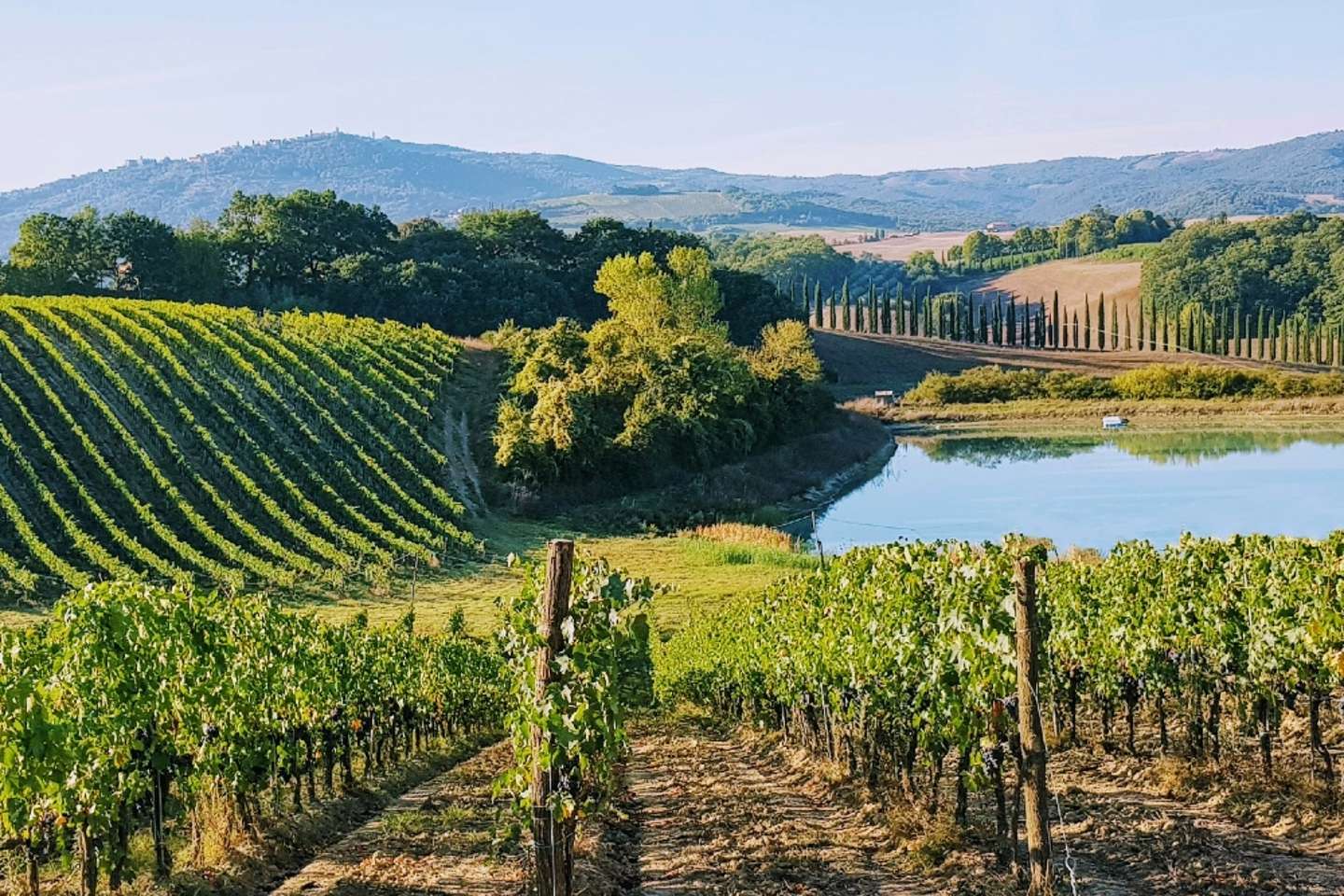 이탈리아 와인 테이스팅을 즐기기 좋은 지역 8곳