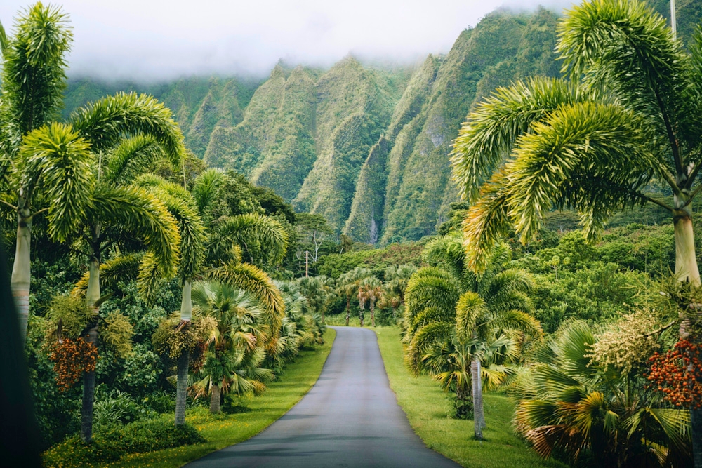 10 viktige tips for å utforske Hawaii på budsjett, image size:1440x1440