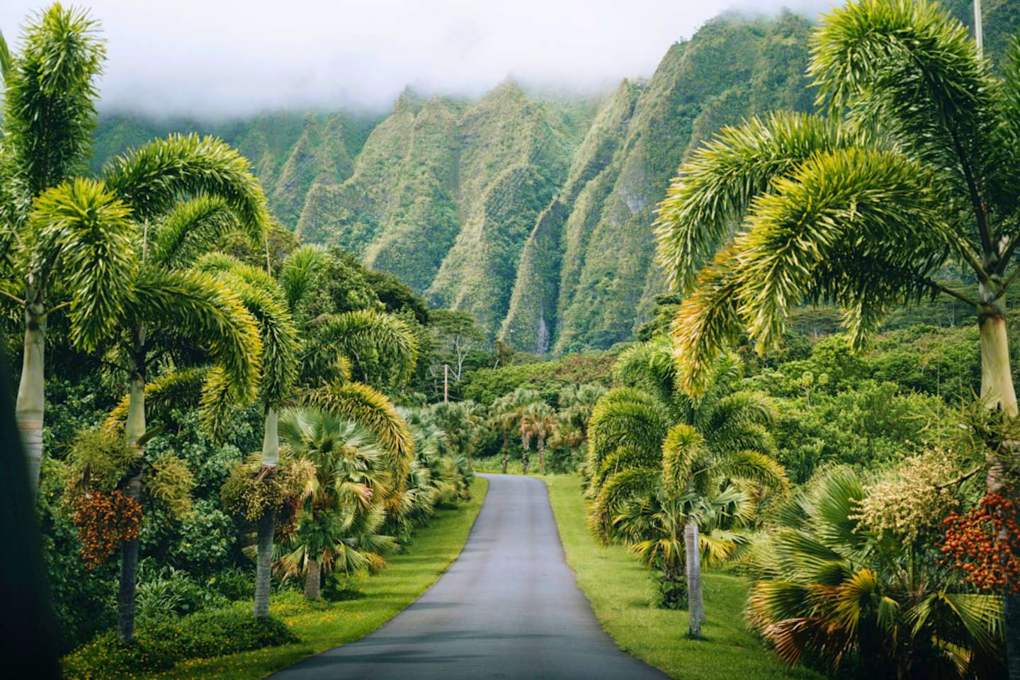10条实用建议：如何经济实惠地游览夏威夷国家/地区