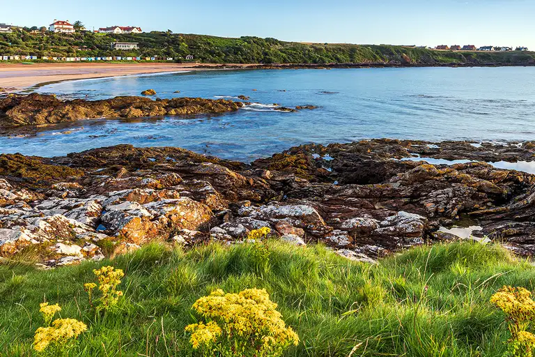 Surf a Coldingham Bay