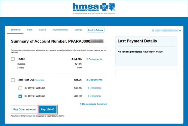 Click Pay Other Amount or Pay button to continue payment process.