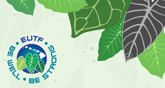 illustration of taro leaves with EUTF logo