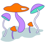 Montañas