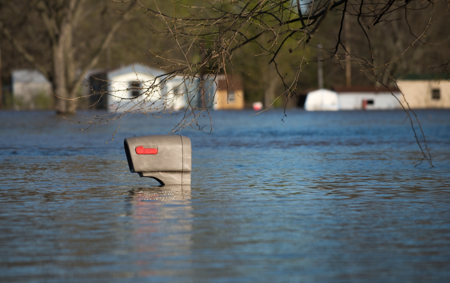 Mailbox shown above water in a flooded neighborhood