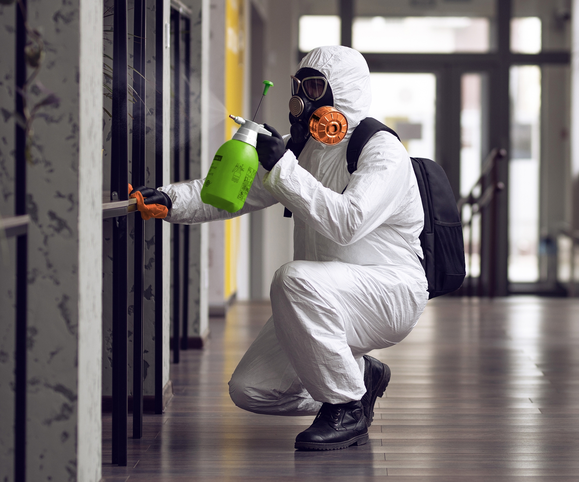 What To Do After Mold Remediation