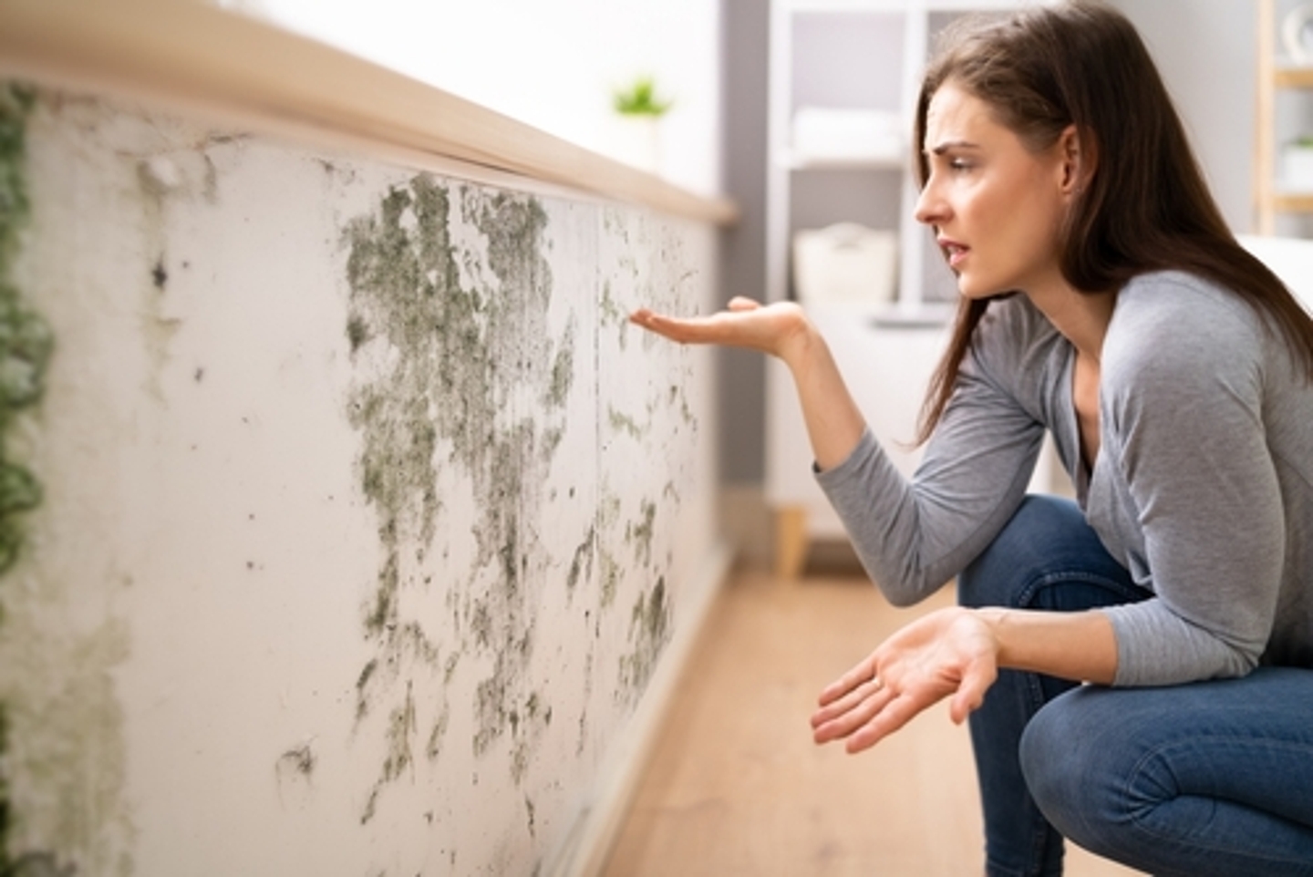 Woman with dark hair, in a gray shirt and jeans, looking at mold on a wall