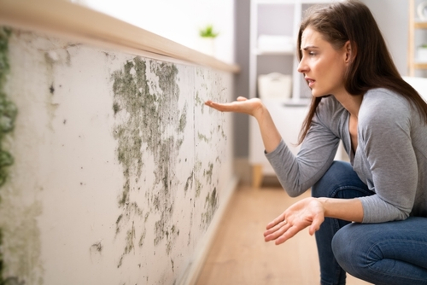 The most common signs of mold in a wall | SERVPRO