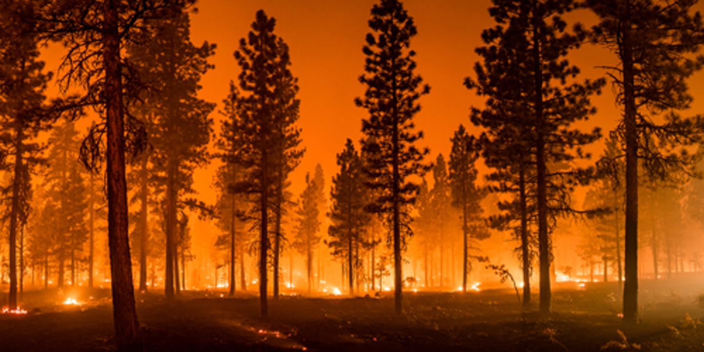 California wildfire season is devastating to property owners. SERVPRO® offers fire damage cleanup, repair, and restoration, all with 24-hour emergency services.