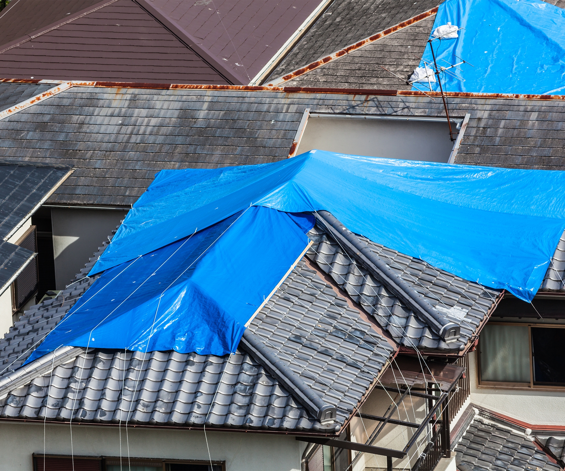Aerial view of residential roof sections covered by blue tarps