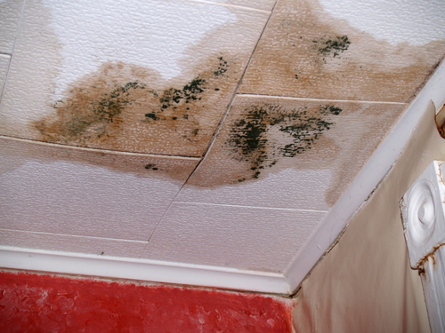 Water Damage In Your Ceiling Isn T