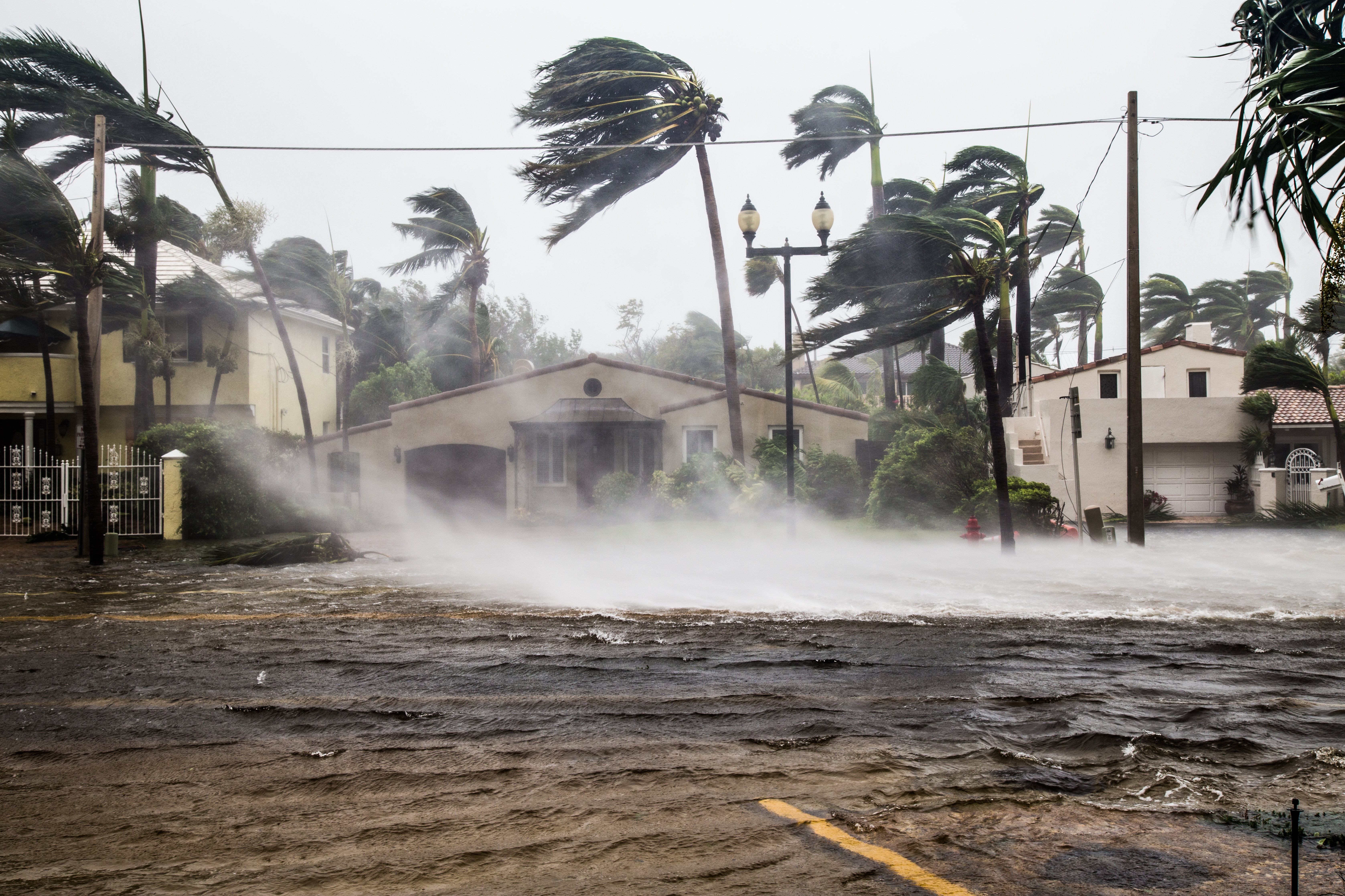 Hurricanes: The seasons