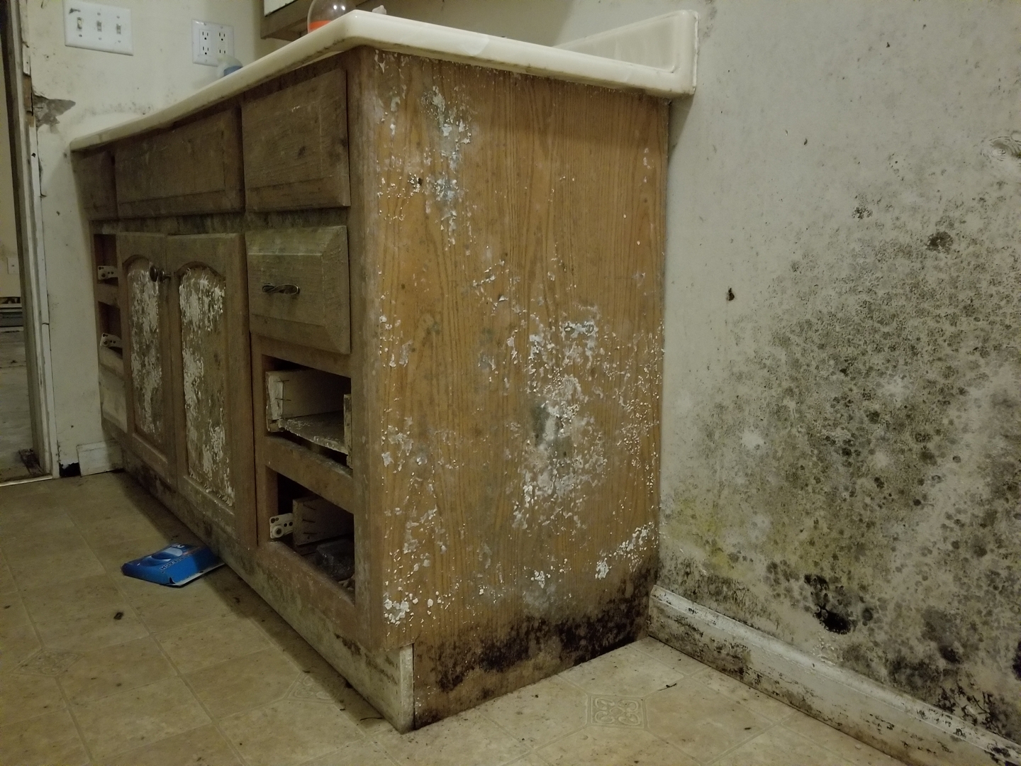 Mold on cabinets and walls