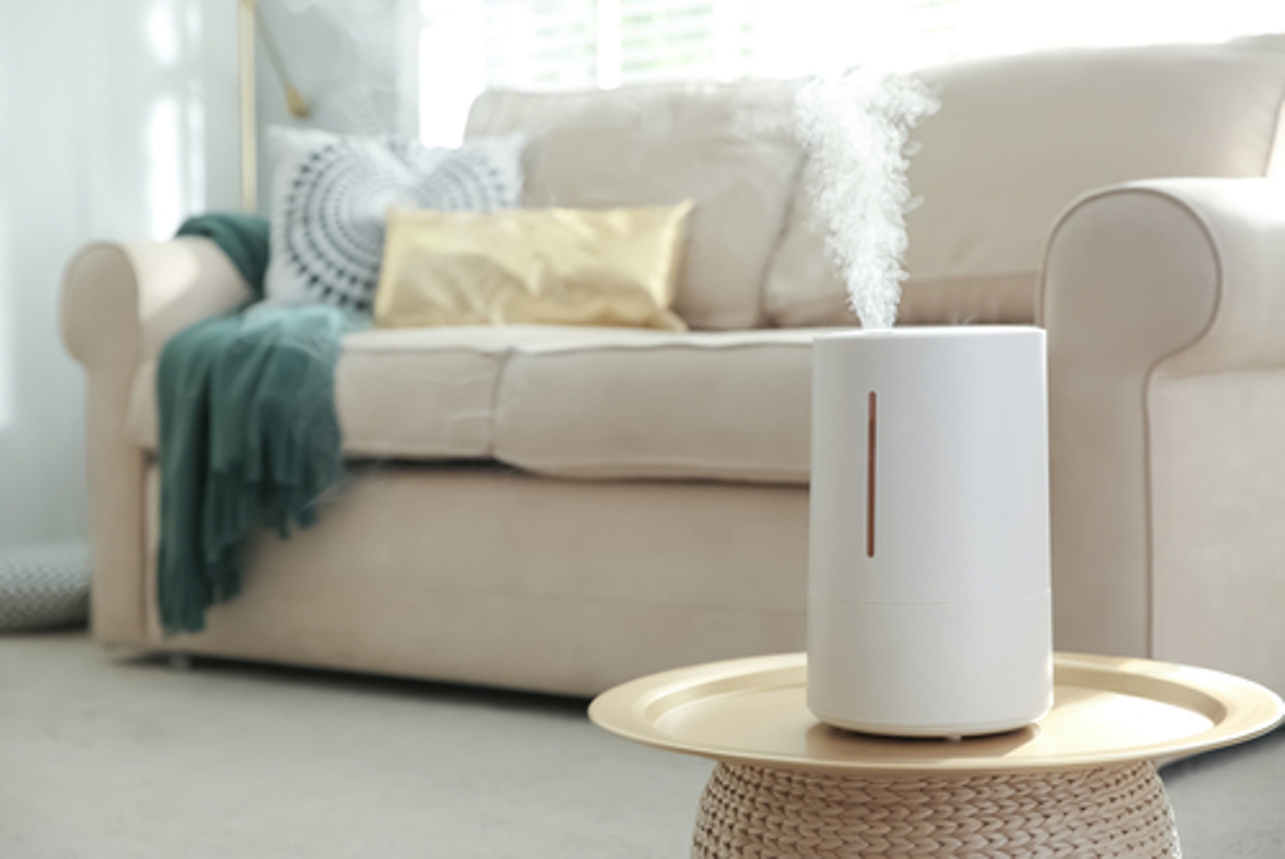 A clean humidifier will keep indoor healthy and can ease allergies 