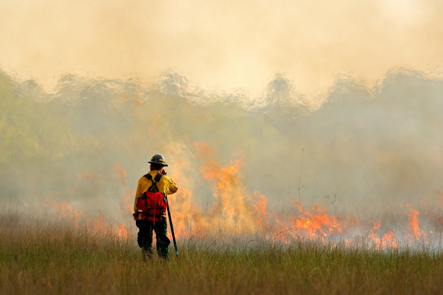 The Facts About Spring Wildfire Season Servpro