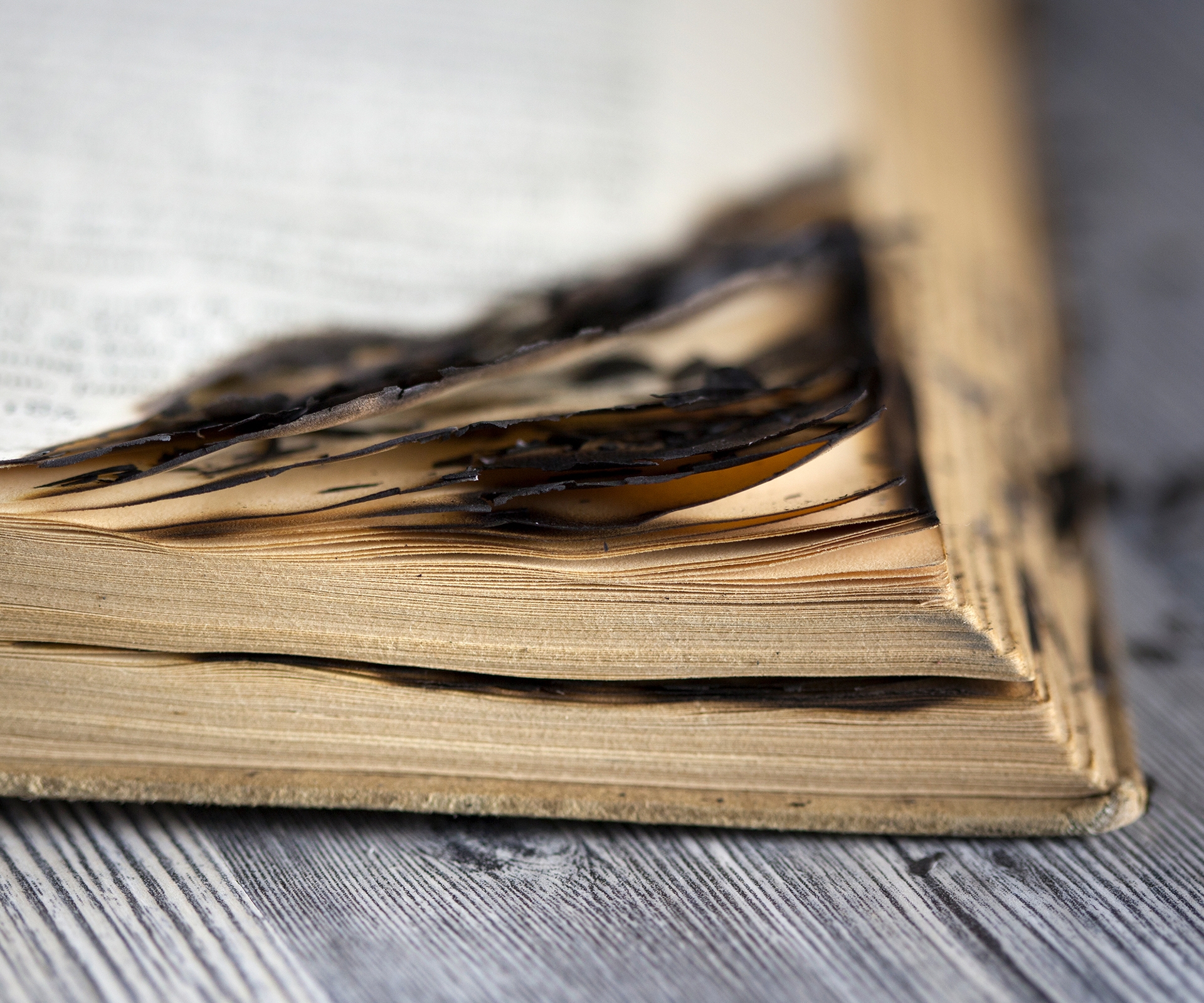 Close up of book damaged by fire