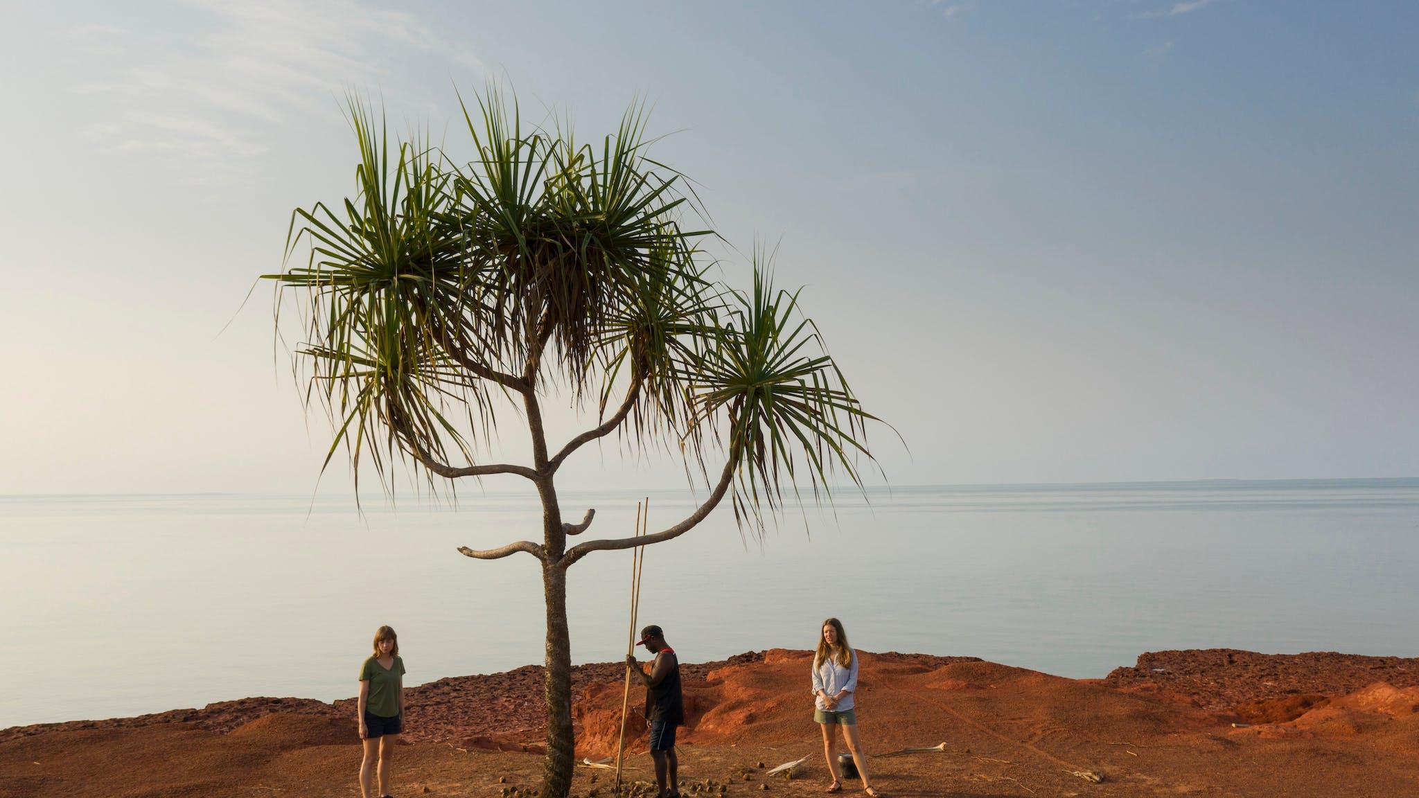 People standing around tree on the coast