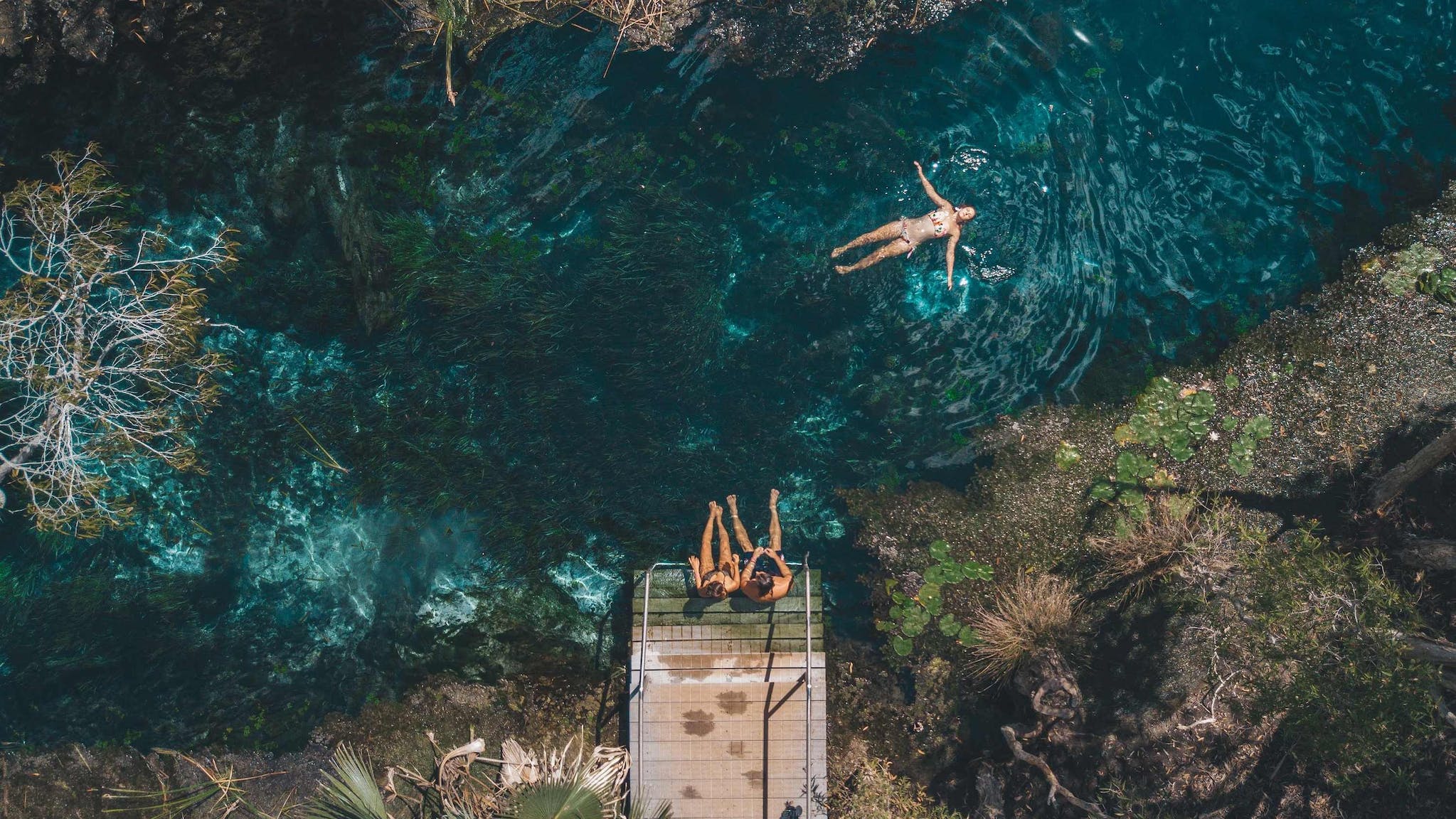 Aerial view of visitors relaxing at the Mataranka Thermal Pool