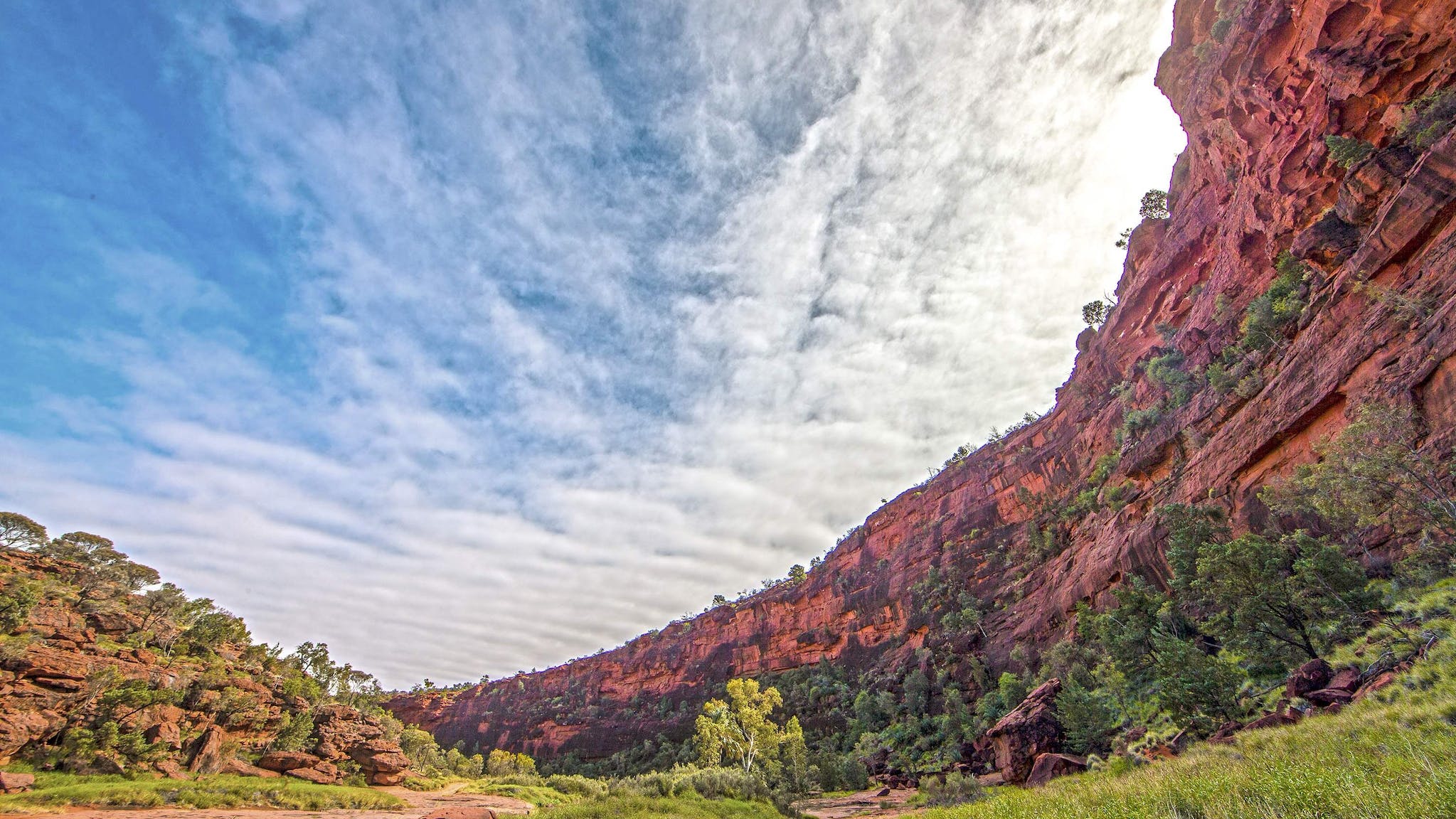 Scenic View  of Finke Gorge National Park