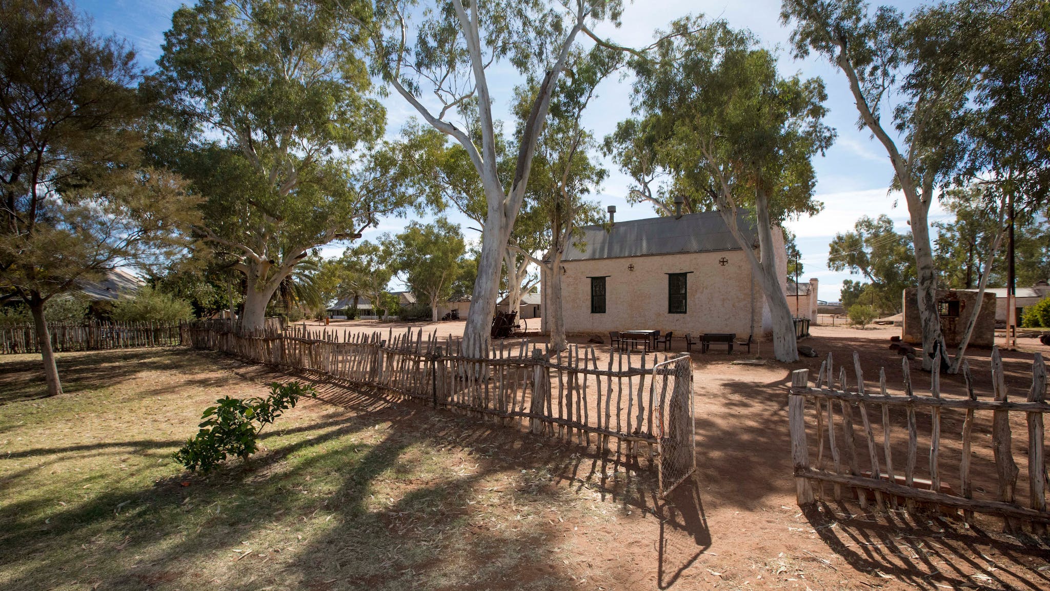 gum trees shading historical buildings