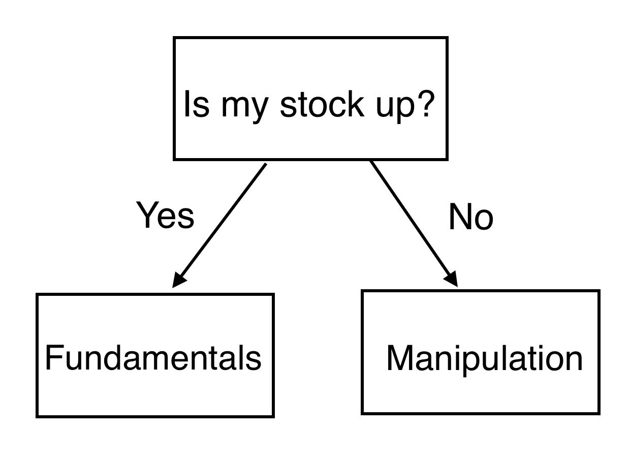 Aksjefundamentale forhold vs manipulasjon