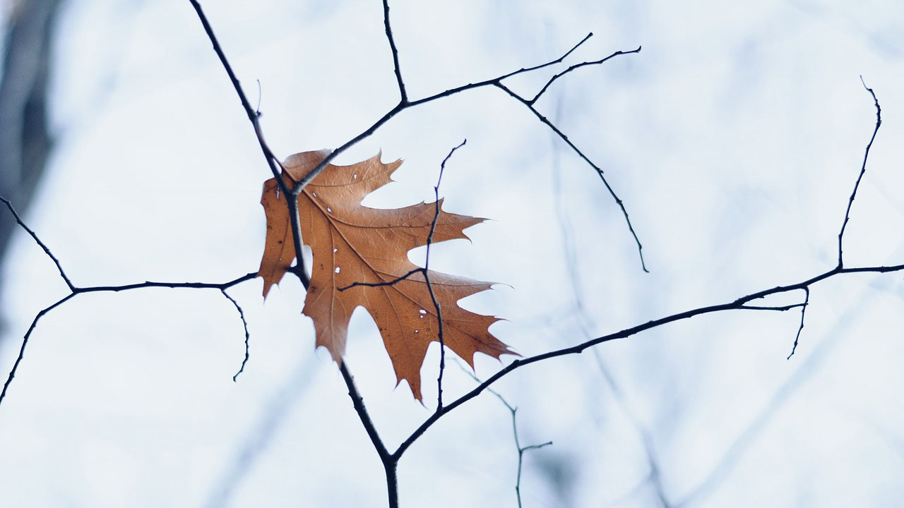 5 red flags that may suggest a company in decline