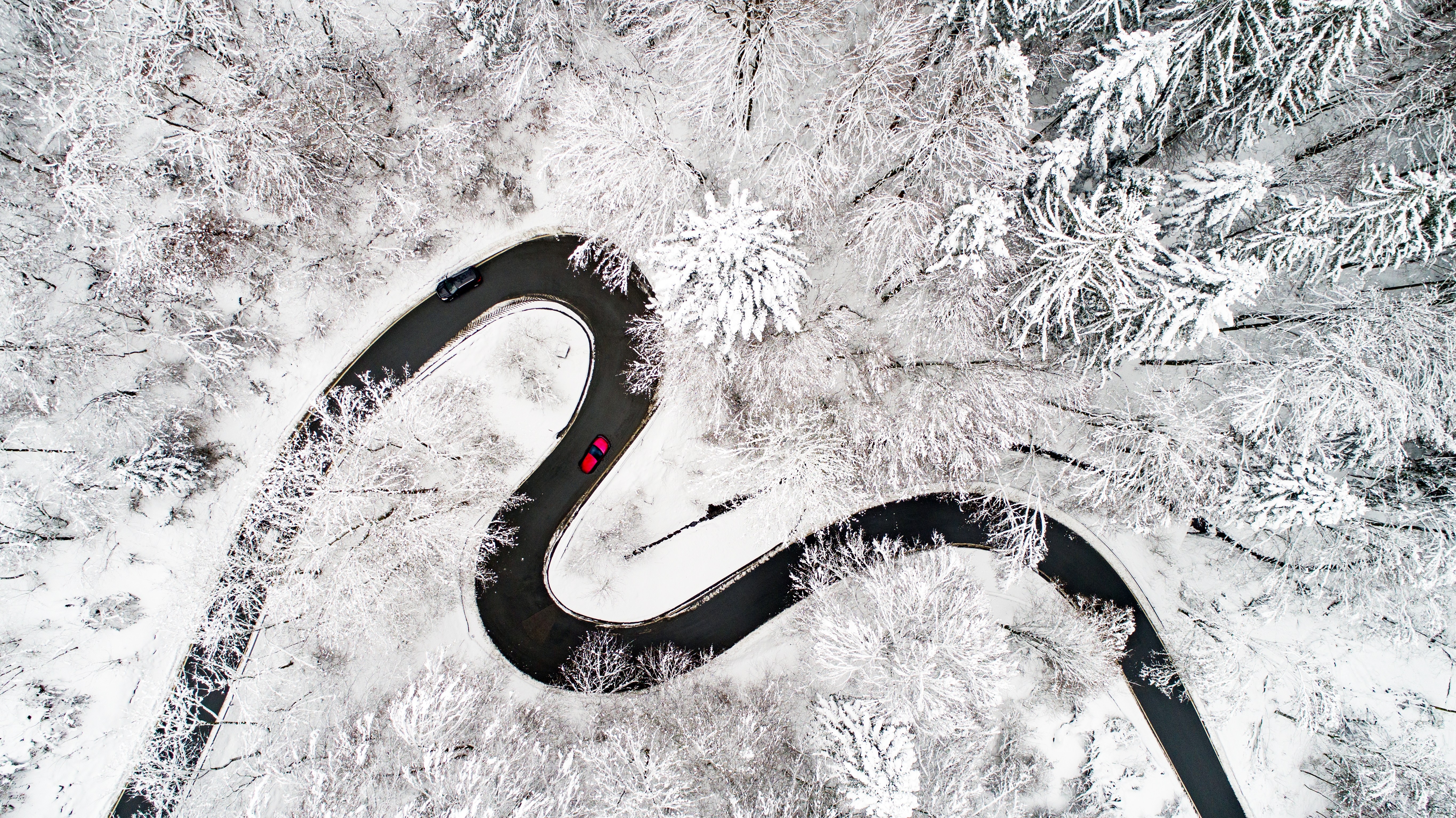 Camino sinuoso en un bosque en invierno.