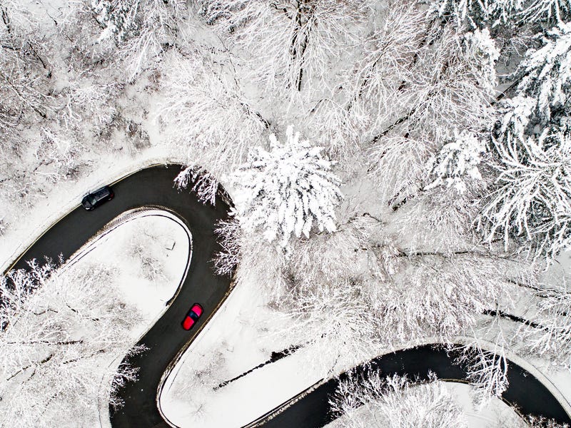 Camino sinuoso en un bosque en invierno.