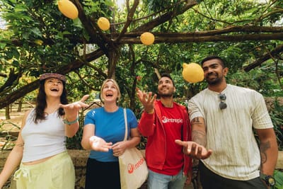 Intrepid-Travel-Italy-Amalfi-Coast-Sorrento-lemon-groves-group-playing-with-lemons-045A8556.jpg