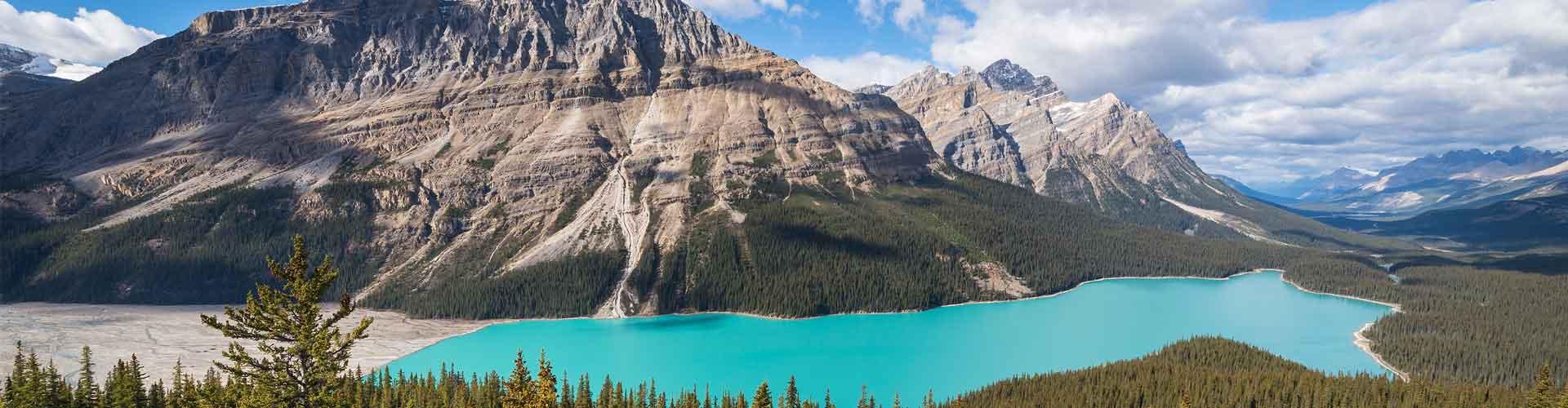 Best Canada Tours Vacations 2023 2024 Intrepid Travel US   Peyto Lake Canada 