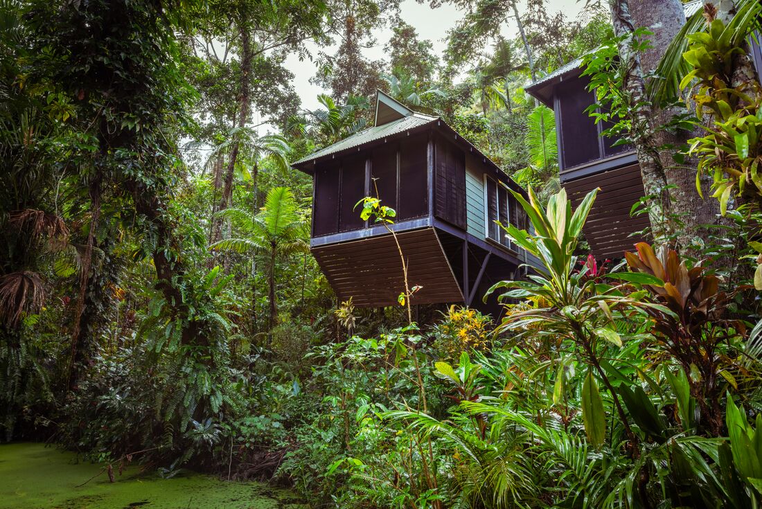 Intrepid-Travel-Australia-Daintree-Ecolodge-exterior-room-rainforest.jpg
