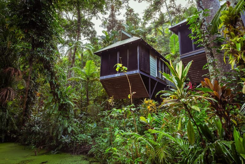 Intrepid-Travel-Australia-Daintree-Ecolodge-exterior-room-rainforest.jpg