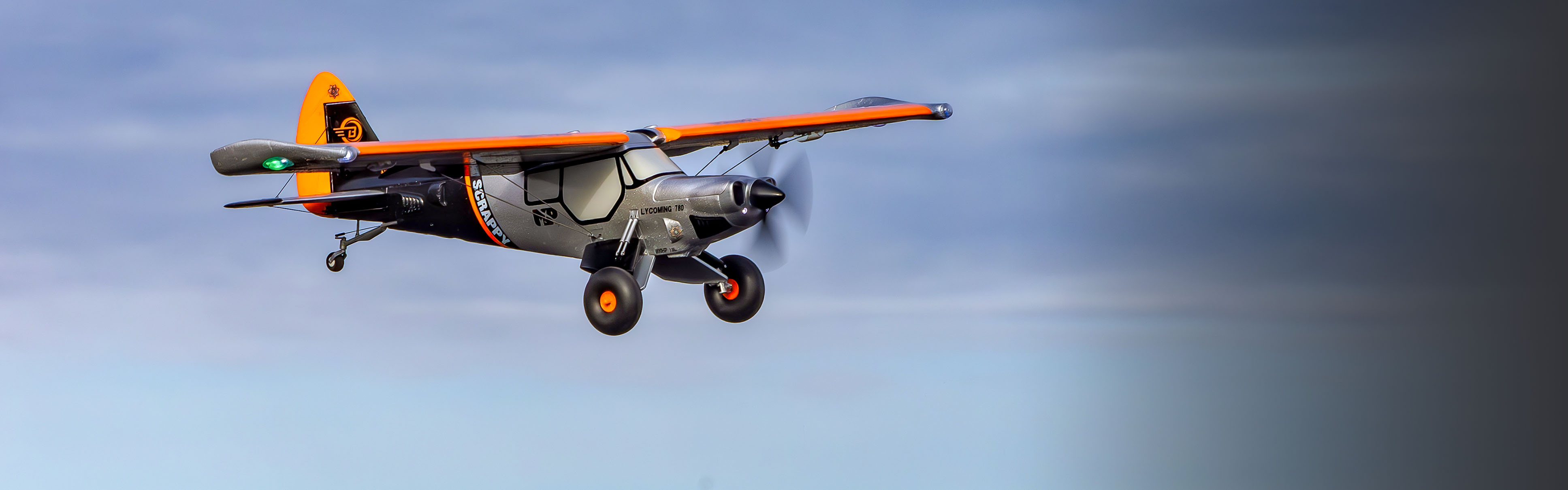 E-flite Scrappy