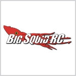 Big Squid Logo