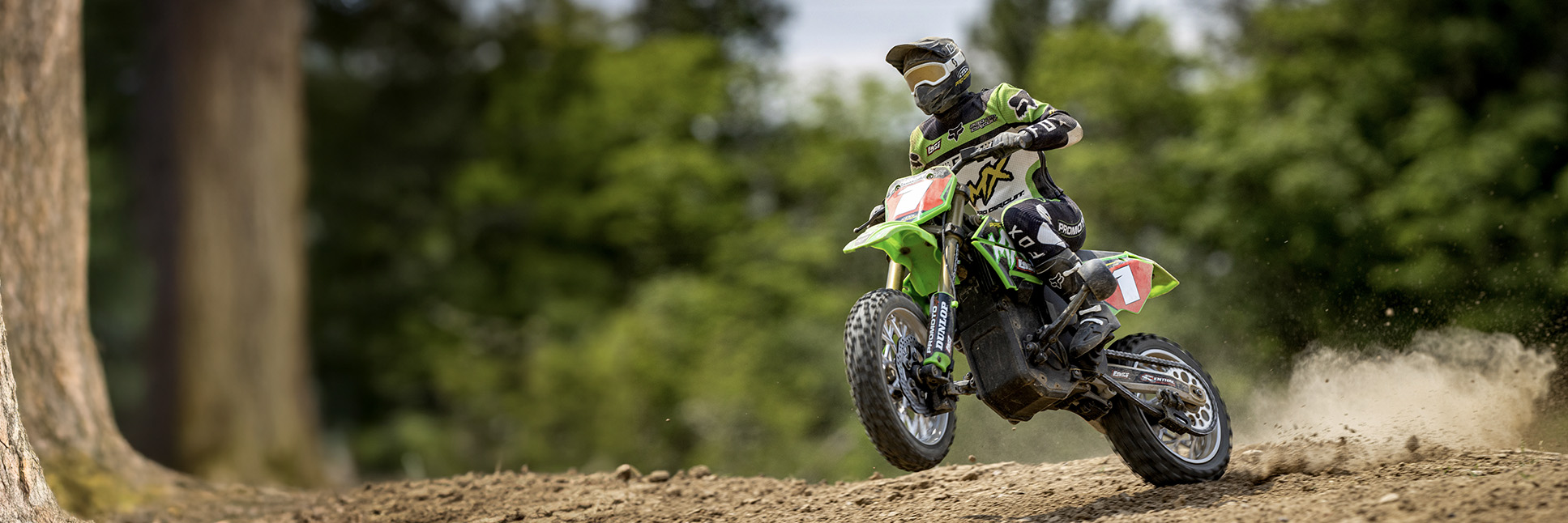 Losi 1/4 Promoto-MX Pro Circuit RC Motorcycle (Battery & Charger Included)