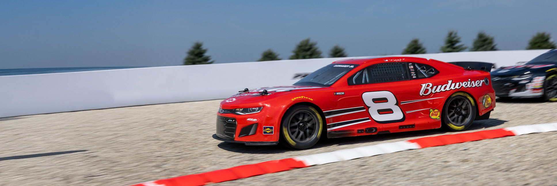 Action shot of the 1/12 NASCAR RC Race Car RCR No. 3 GM Goodwrench Chevrolet ZL1 2S AWD RTR and Dale Earnhardt Jr. No. 8 Budweiser Chevrolet ZL1 2S AWD RTR Brushed On-Road