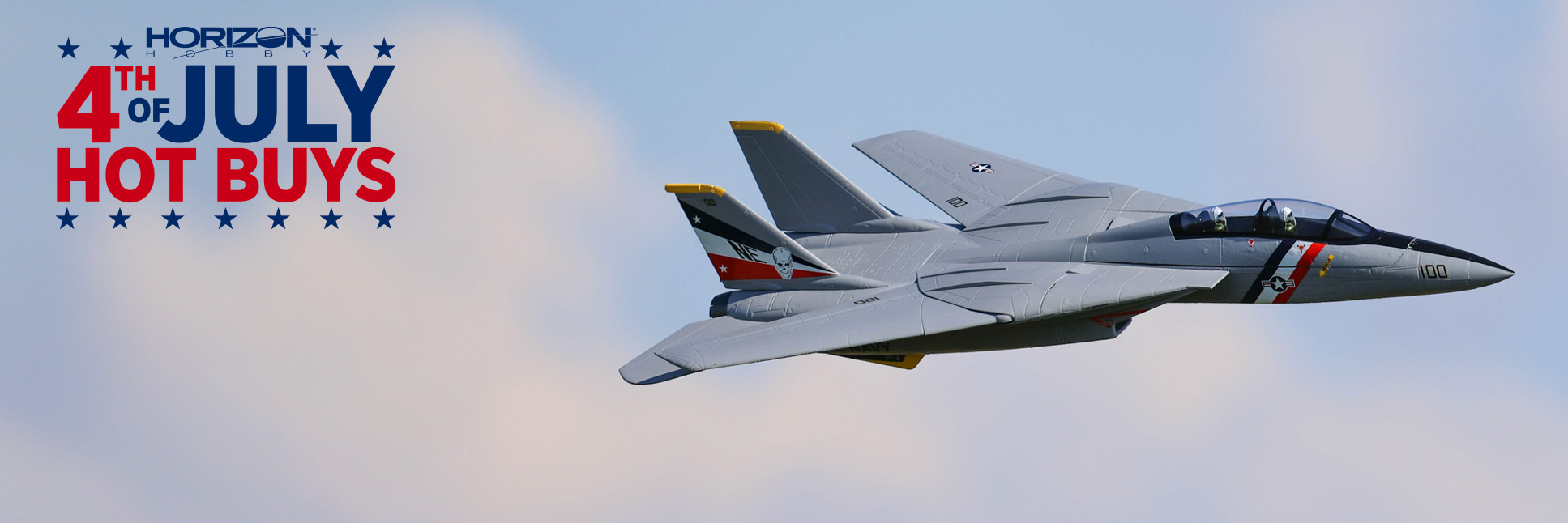 E-flite F-14 Tomcat Twin 40mm EDF Bind-N-Fly Basic RC Jet Plane